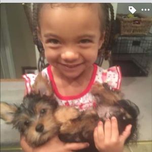 Meet your Posher, Natalie